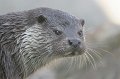 Zoo Straubing_054